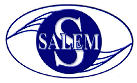 Salem High School hockey statistics from the first season to the present