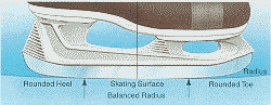 Blade Anatomy